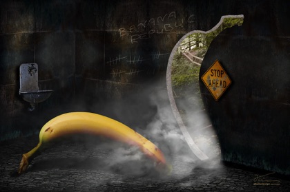 die angst des plantagenbesitzers vor der bananenflucht die angst des plantagenbesitzers vor der bananenflucht